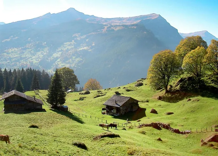 Almis-boedeli-1 By Interhome Apartamento