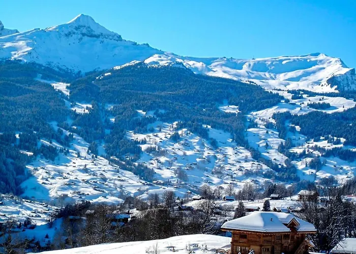 Almis-boedeli-1 By Interhome * Grindelwald