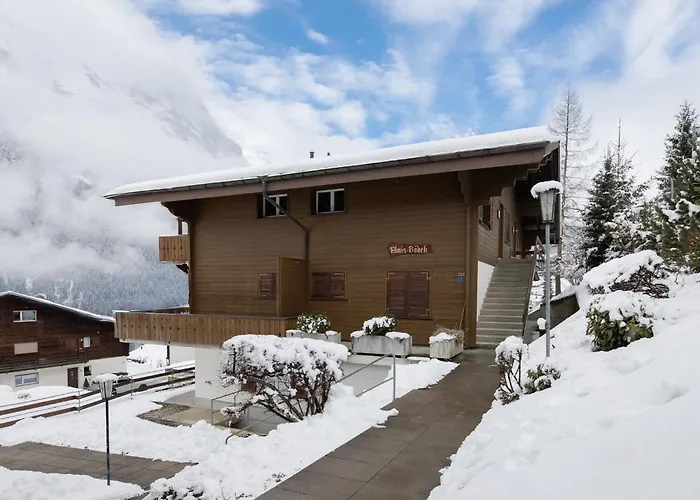 Almis-boedeli-1 By Interhome Apartment Grindelwald