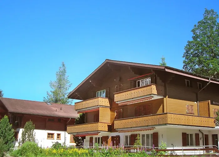 Almis-boedeli-1 By Interhome Apartamento Grindelwald