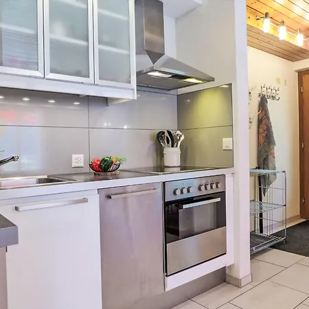 Almis-boedeli-1 By Interhome Apartment